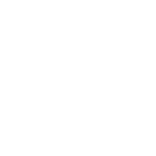 Targui 4×4 Logo